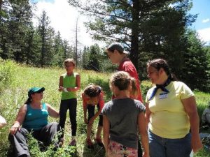 An adult and five children camping